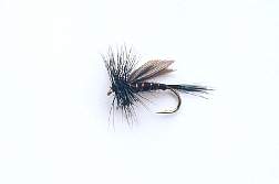 Dry Fly Fishing